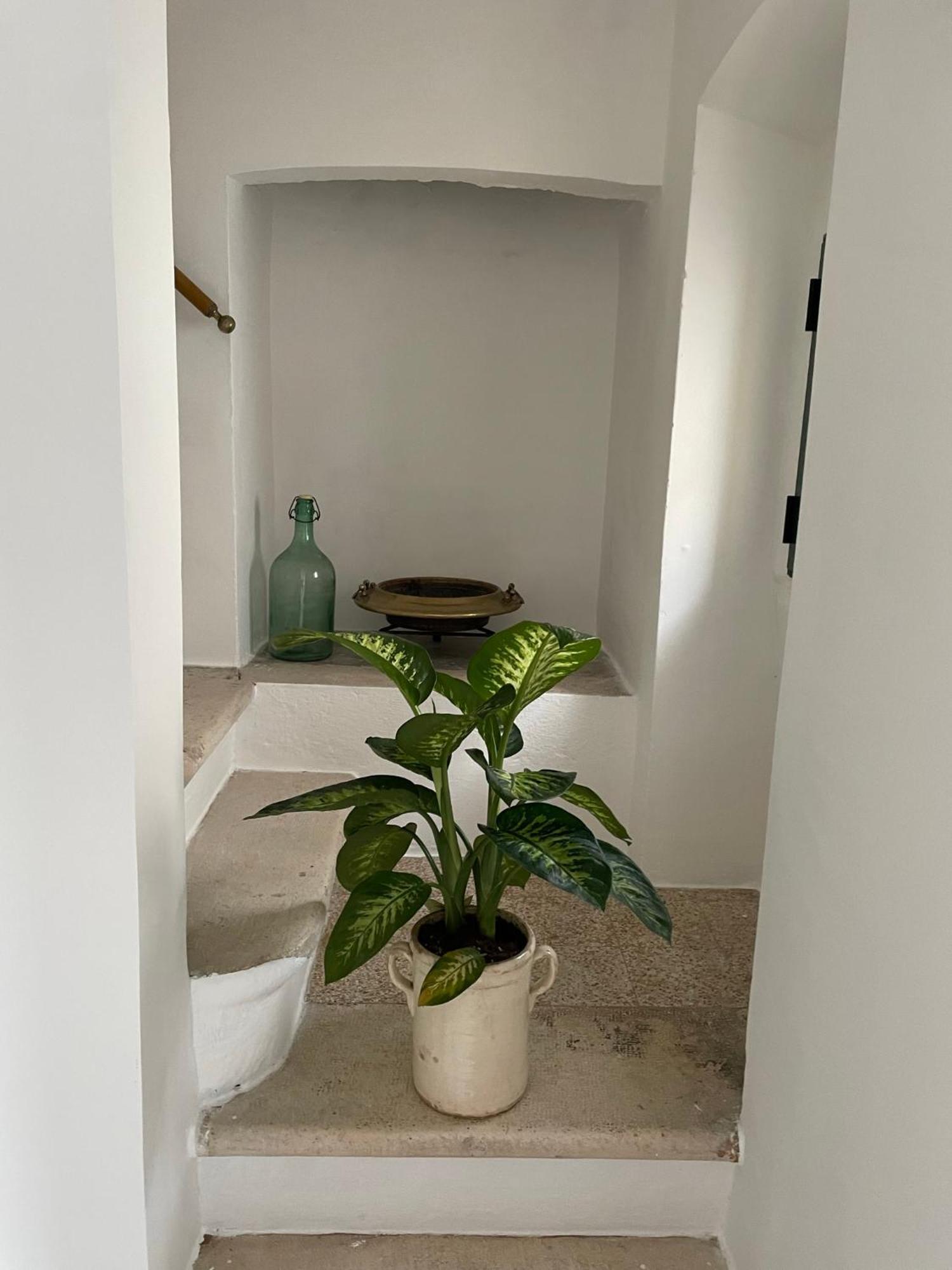 B&B Antiche Mura Sammichele Di Bari Екстериор снимка